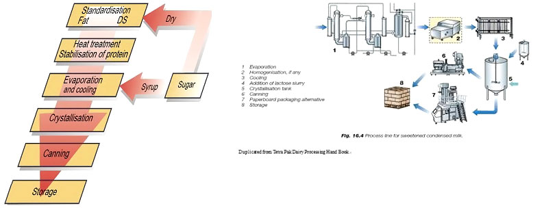 Condensed Milk Production Line2